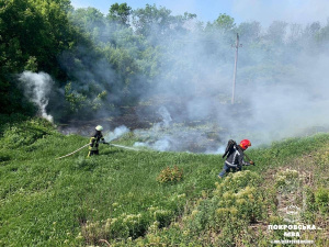 Добровільна пожежно-рятувальна команда Покровська ліквідувала займання в екосистемі