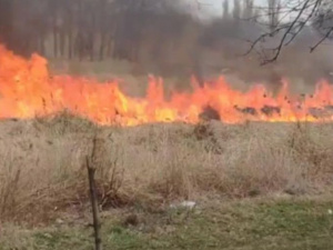 В Покровске установлен поджигатель сухой травы возле парка «Юбилейный»