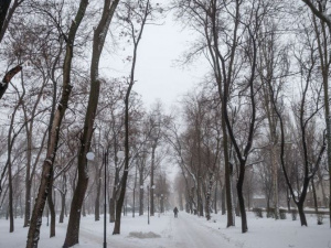 Погода в Покровске на 24 января