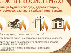 Рятувальники Донеччини закликають громадян: дотримуйтесь правил пожежної безпеки в природних екосистемах
