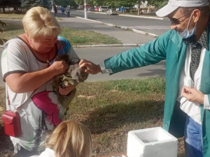 В Покровске началась бесплатная вакцинация домашних животных от бешенства