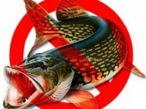 С 1 апреля в Донецкой области запрещен вылов рыбы