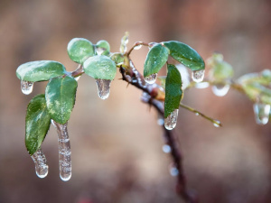 Нестійка та волога погода: прогноз для України на тиждень з 16 по 22 лютого