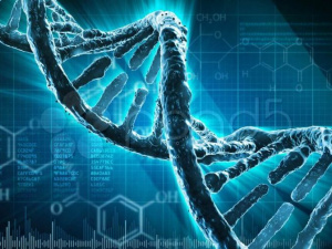 Що можуть передати гени: цікаві факти, про які ви могли не знати