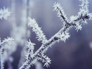Міцні нічні морози триватимуть в Україні впродовж тижня 12-18 січня