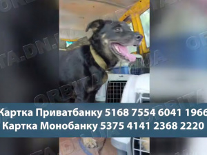 Рятує з-під обстрілів: Світлана Остапкова евакуює тварин з Дніпропетровщини
