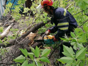 Минулої доби рятувальники Донеччини 10 разів прибирали дерева та гілки, що впали внаслідок негоди