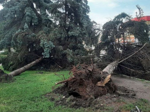 Розгул стихії у Покровську: як комунальники ліквідовували наслідки