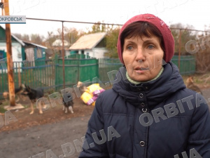 Спільна біда: зооволонтери допомагають один одному прогодувати покинутих тварин