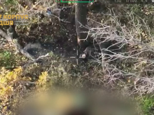 Ситуація у Покровську та Мирнограді станом на 11:00 30 жовтня від 7 корпусу ШР ДШВ