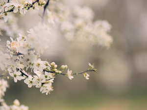 Поступове потепління та опади: синоптики розповіли про погоду в Україні наступного тижня