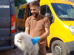 Життя кожного важливе: волонтери евакуюють і людей, і тварин