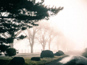 Аномально тепла та нестійка погода очікує українців на останньому тижні листопада