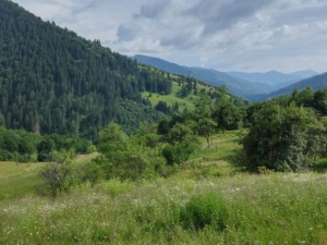 На Закарпатье произошло землетрясение