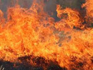 Ситуация с пожарами в экосистеме Покровска и района накаляется