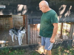 У прихистку Олександра Біличенка тварини чекають на люблячі родини та допомогу небайдужих людей