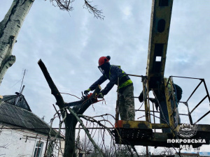 У Покровську триває обрізка та видалення аварійних дерев