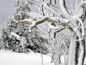 Де в Україні буде найхолодніше наступного тижня: синоптики зробили прогноз