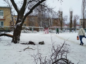 Погода в Покровске на сегодня, 11 февраля