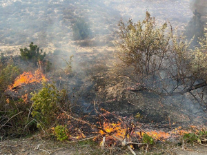 У Рівному пошкоджені будинок, заклад освіти та ЛЕП: наслідки обстрілів Донеччини за минулу добу