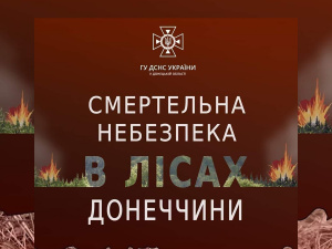 Рятувальники попередили про смертельну небезпеку в лісах Донецької області