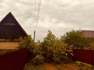 Пошкоджені дерева, білборди та газопровід: комунальники ліквідували наслідки негоди в Покровську
