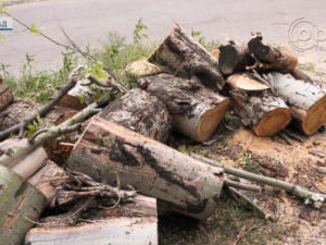 Час новин. За дровами – до Терцентру: у Мирнограді допомагають твердим паливом пільговим категоріям громадян