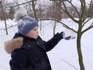 Добрі справи у морози: як годівнички допомагають птахам пережити зиму