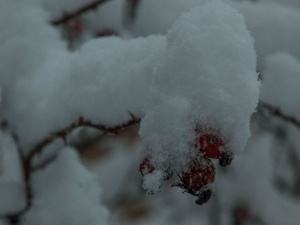 В Україні очікується ускладнення погодних умов: насипе до 20 см снігу