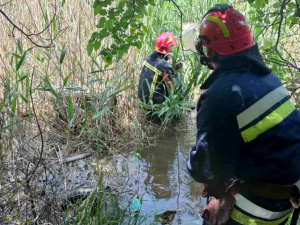 Бійці ДСНС врятували чоловіка, який тонув у ставку Селидового