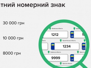 Інформація про наявність платних номерних знаків стала доступною онлайн