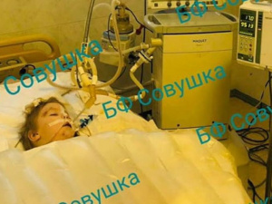 В Днепре медики борются за жизнь 2-летнего мальчика из Селидово, которого растерзали собаки