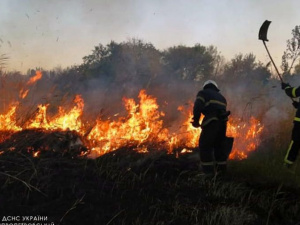 Рятувальники застерігають громадян від необережного поводження з вогнем у природних екосистемах