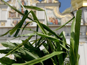 Православные отмечают День святой Троицы