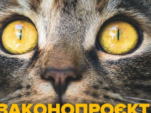 Нет эксплуатации и фотоуслугам: в Украине приняли важный закон о защите животных