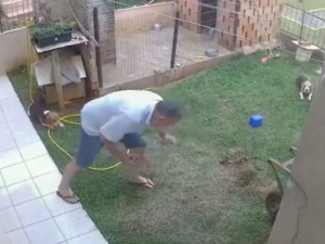 У Бразилії чоловік підірвав власне подвір’я, намагаючись знищити тарганів