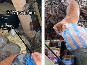 Від бойових котиків до спеціальної вудки: українські військові показали, як борються з нашестям мишей