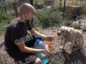 Рятуючи беззахисних: зооволонтер з Донеччини створює новий прихисток для тварин