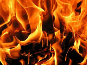 В Родинском при пожаре погиб мужчина