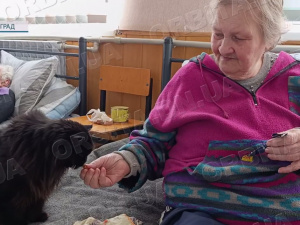 Евакуація триває: Павлоград приймає до 90 осіб щодня