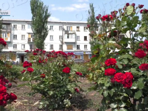 Небезпечно, але з вірою в краще: про настрої мешканців прифронтового Добропілля