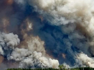 В Луганской области лесной пожар перекинулся на населенные пункты и унес несколько жизней