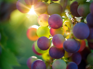 Чи потеплішає на вихідних: прогноз погоди в Україні на 20-21 вересня