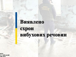 Незаконний схрон боєприпасів виявлено у Покровському районі