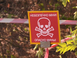 В Добропольском районе найдены взрывоопасные артефакты