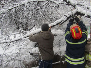 Рятувальники Добропілля допомогли водієві "визволити" автомобіль, на який впало дерево