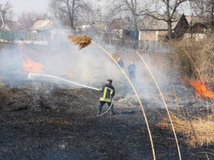 В Покровске произошло масштабное возгорание камыша рядом с жилыми домами