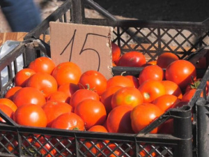 Цены на сезонные овощи бьют антирекорды. Стоит ли сейчас запасаться впрок?