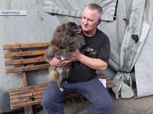 Евакуація під обстрілами: волонтери рятують людей із Сергіївки та Краматорська