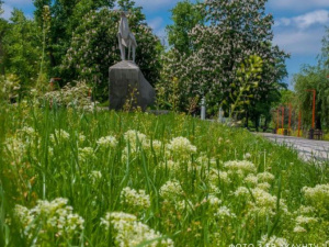 Вода, новий поїзд, ліквідація наслідків обстрілу: про життя Покровської громади на ранок 30 липня